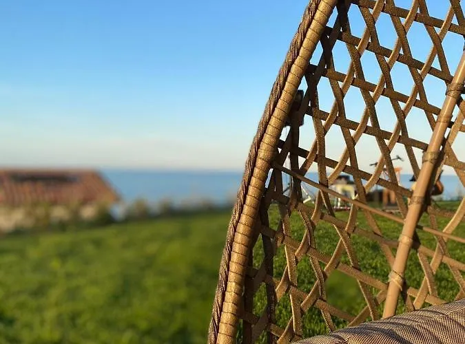 Casale Adriatico ベッド・アンド・ブレックファスト ピネート